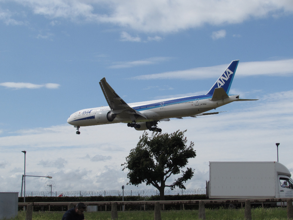 ANA Plane